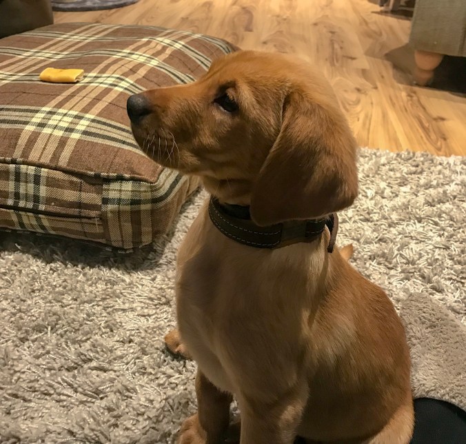 3A7F81BB-0B75-4265-9B01-75DAD089605E