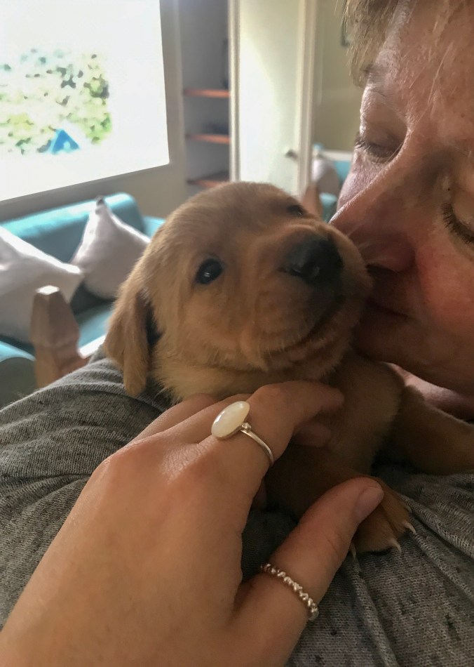 FFFEF754-4966-408D-AB44-25E1F7E8FA46